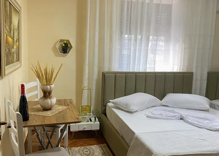 公寓 Aron's House *