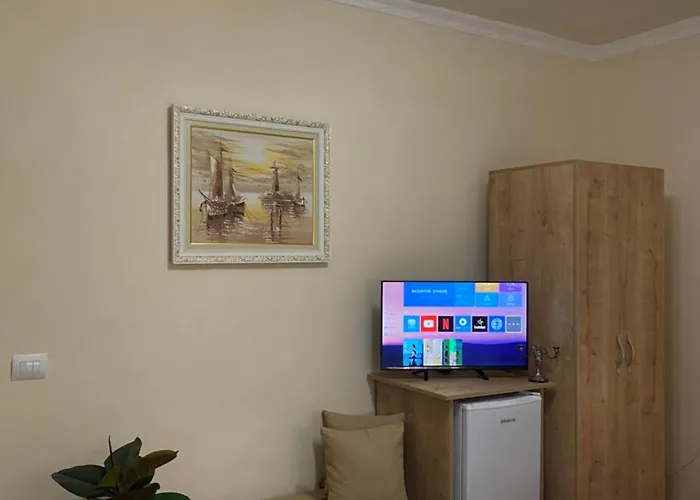 公寓 Aron's House *